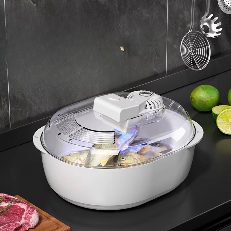 Frozen Meat Thawer Machine Ultrasonic Atomization 6 in 1Thawing Machine Food-Grade Material Pet USB Charging Defrosting Thawing